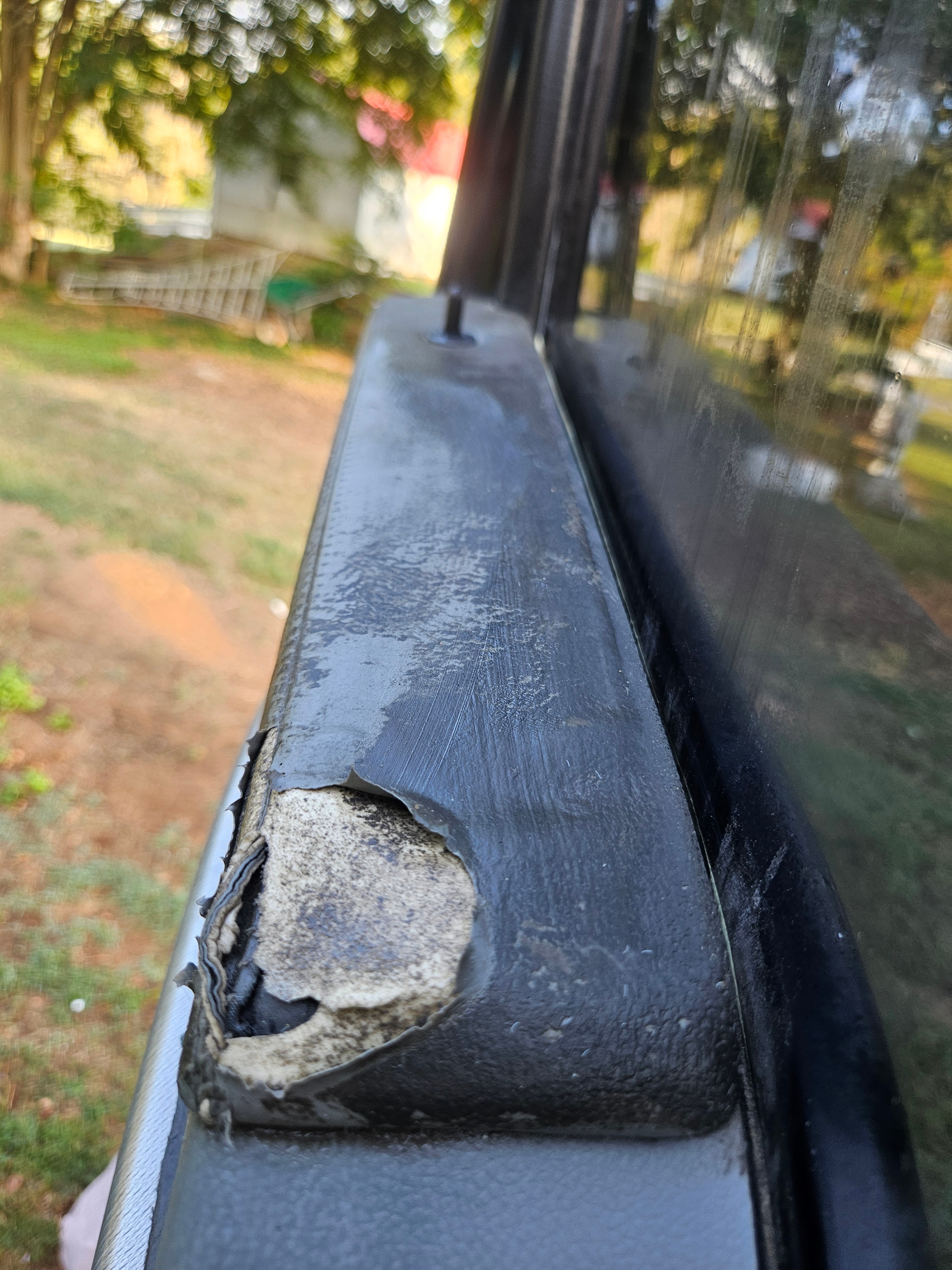 Gutter — Before Cleaning