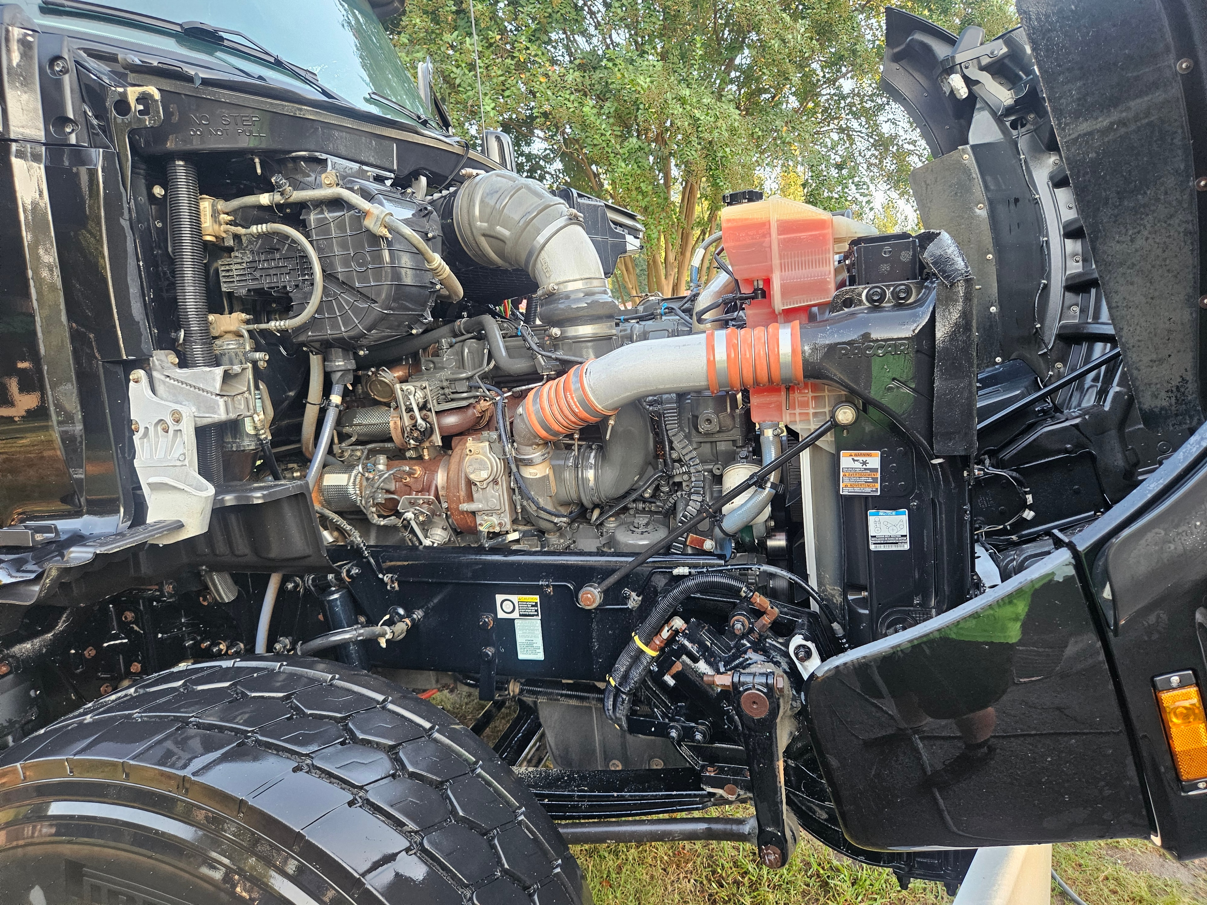 Engine Bay — After Detail