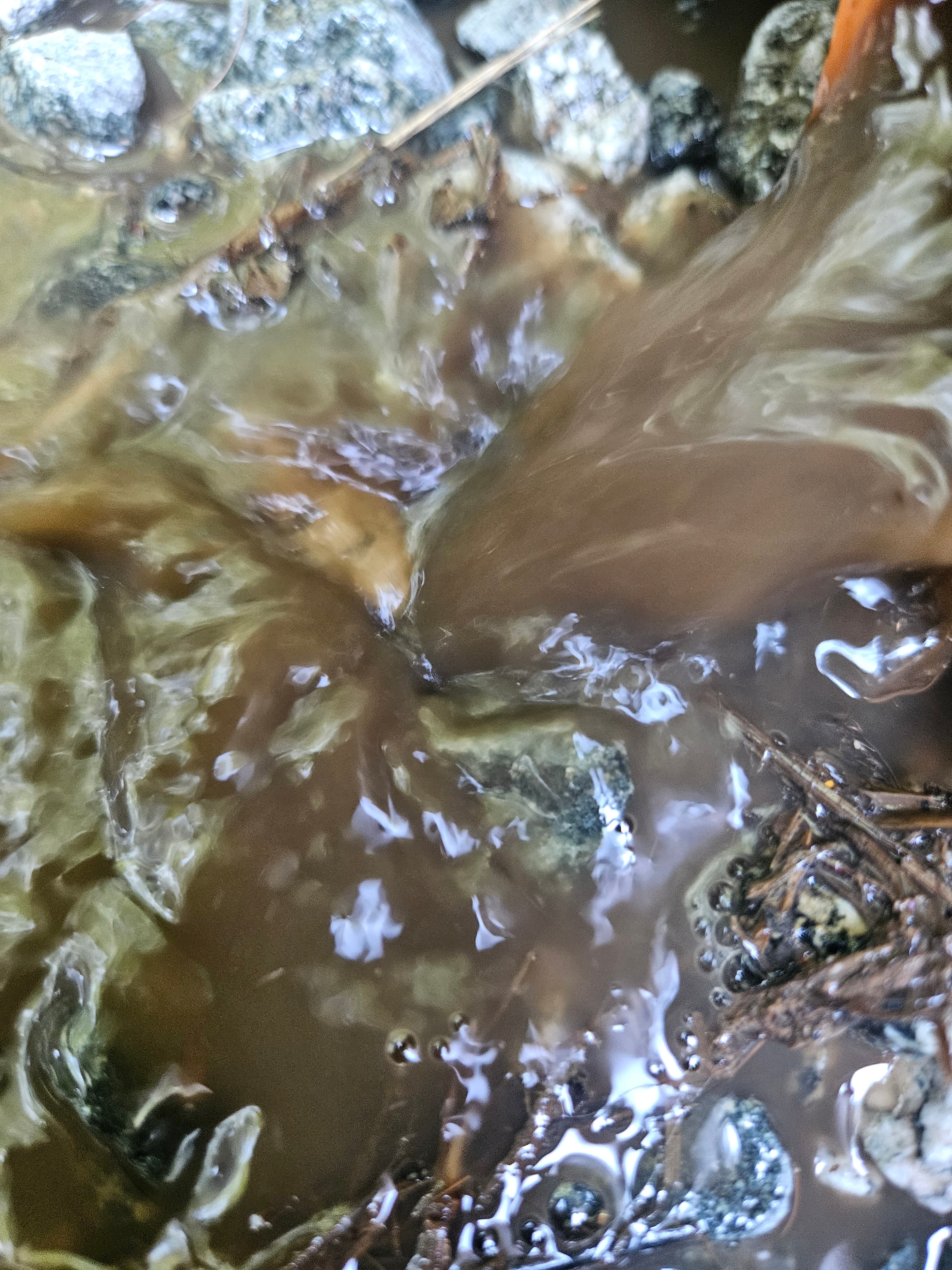 Boat Hull — After Marine Detail
