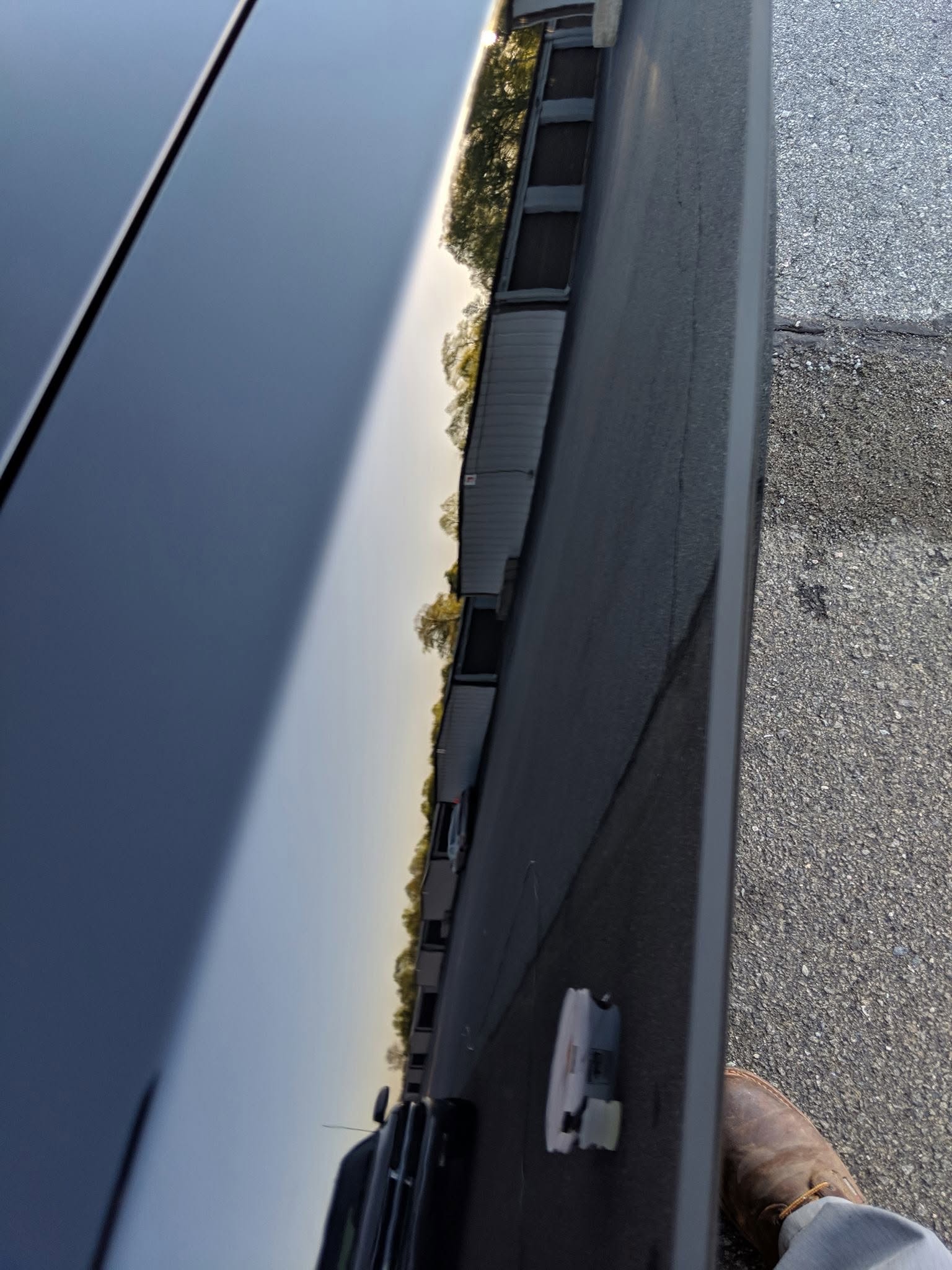 Paint before correction — swirl marks